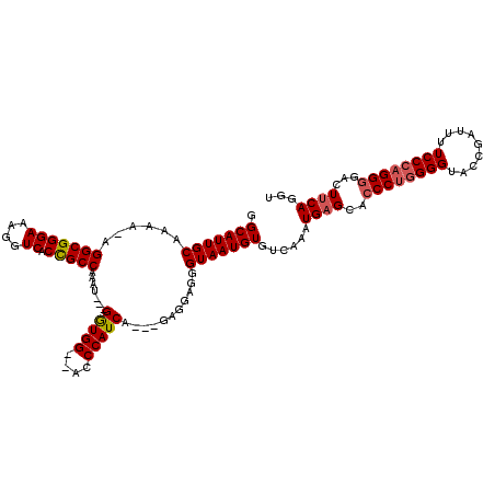 secondary structure