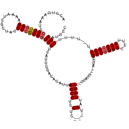 secondary structure