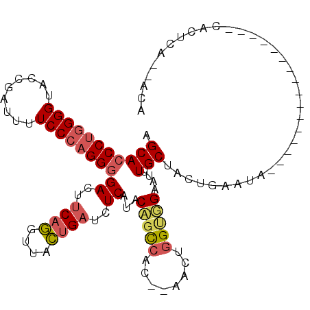 secondary structure
