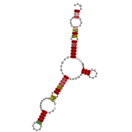 secondary structure