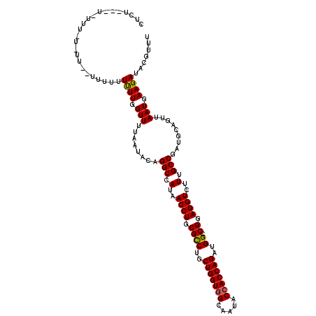 secondary structure