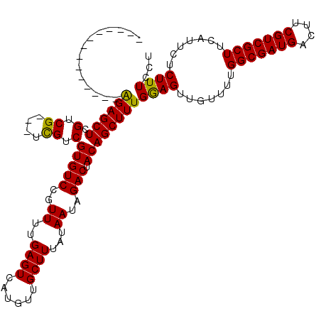secondary structure