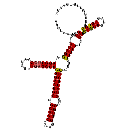 secondary structure