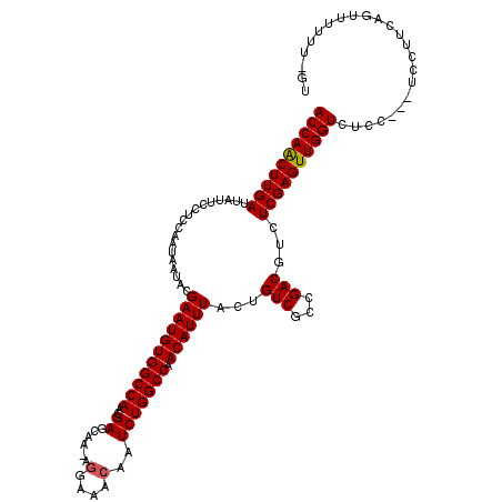 secondary structure