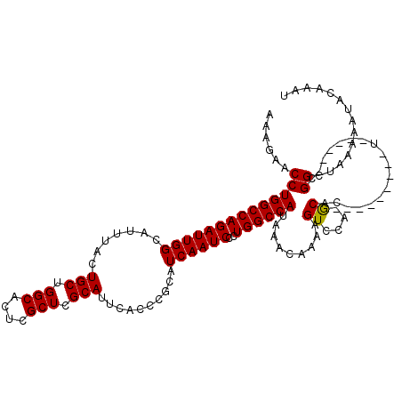 secondary structure