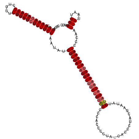secondary structure