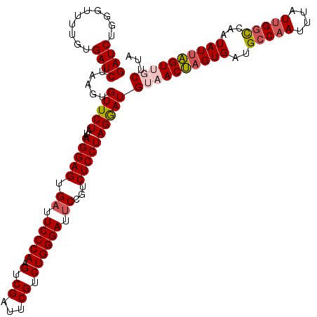 secondary structure