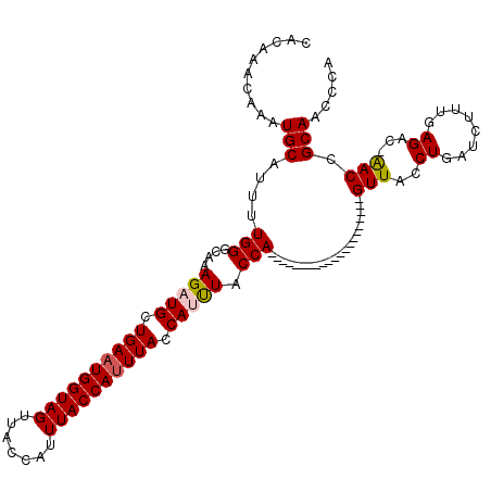 secondary structure