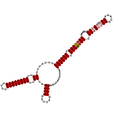 secondary structure