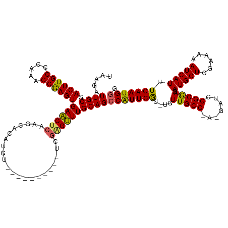secondary structure
