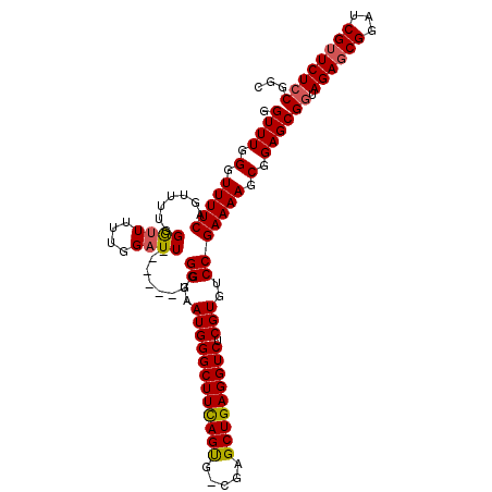 secondary structure