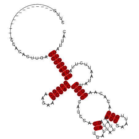 secondary structure