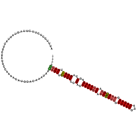 secondary structure