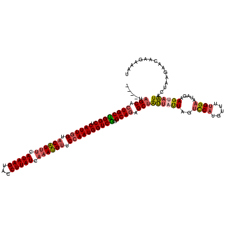 secondary structure