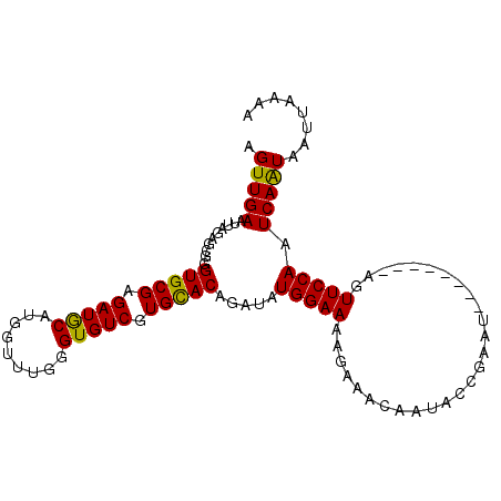 secondary structure