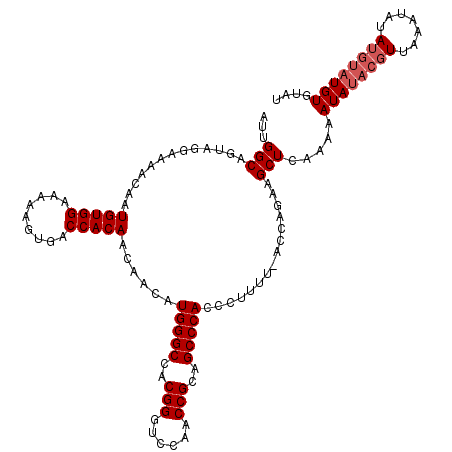 secondary structure
