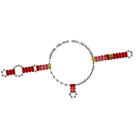 secondary structure