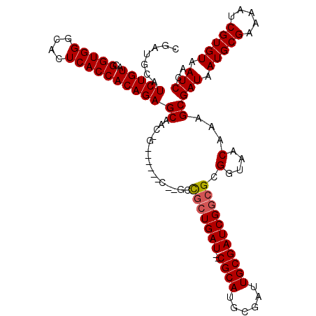 secondary structure