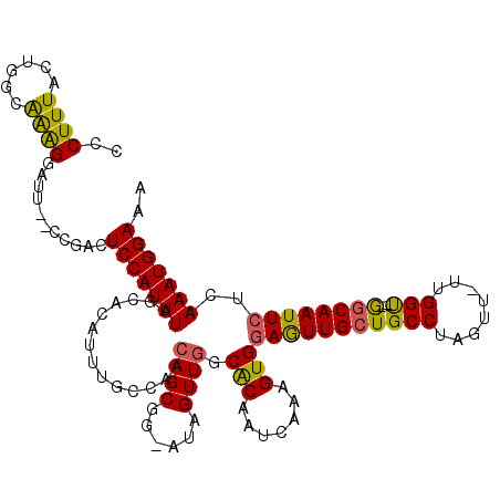 secondary structure