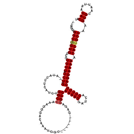 secondary structure