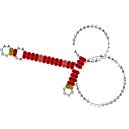secondary structure