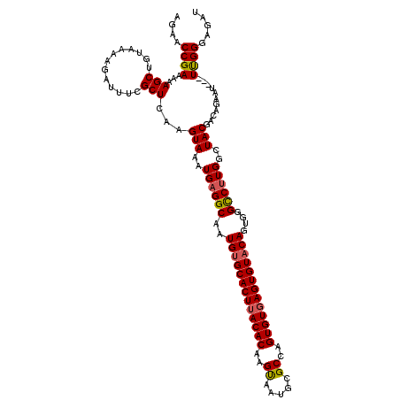 secondary structure