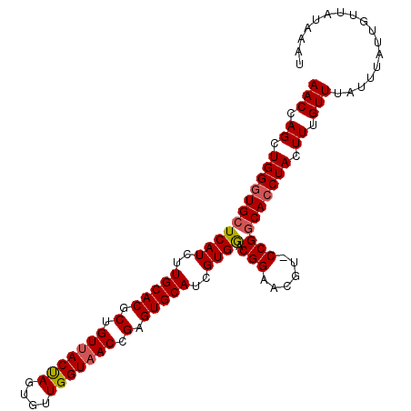 secondary structure