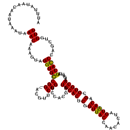 secondary structure