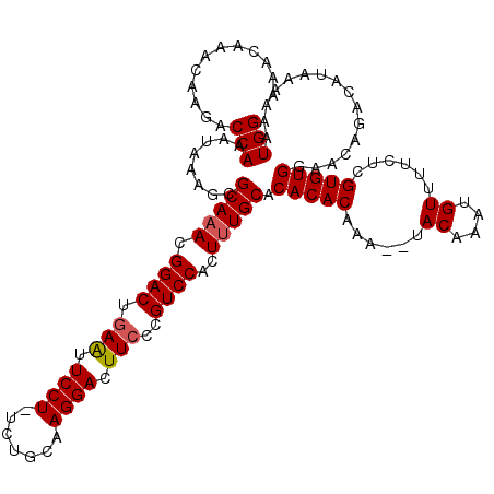 secondary structure