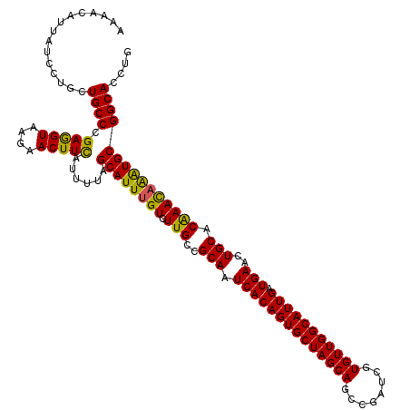 secondary structure