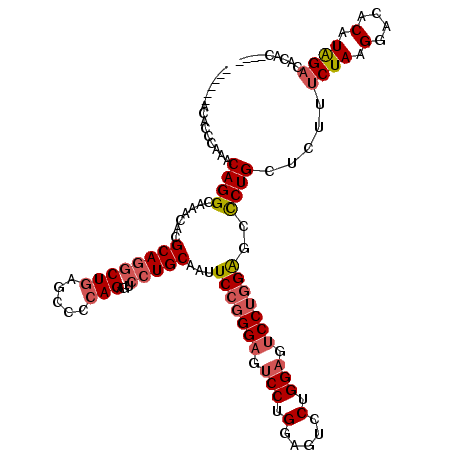 secondary structure