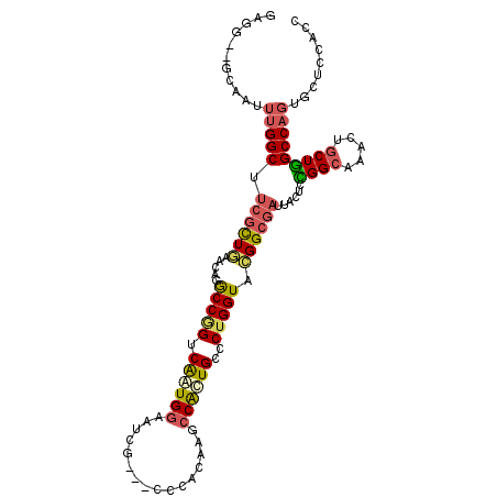 secondary structure