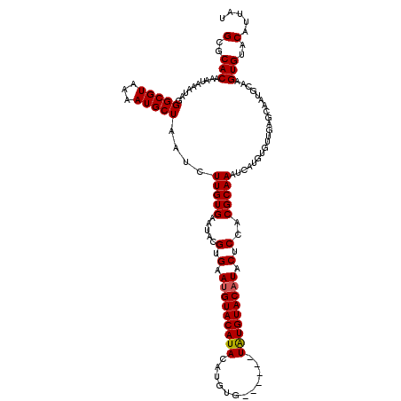 secondary structure
