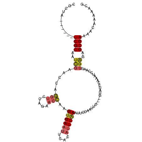 secondary structure