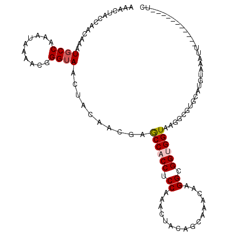 secondary structure