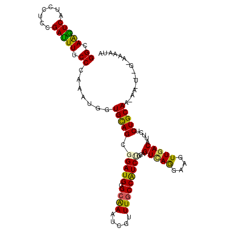 secondary structure