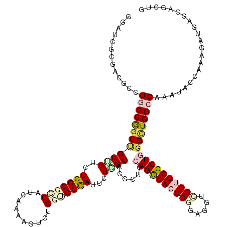secondary structure
