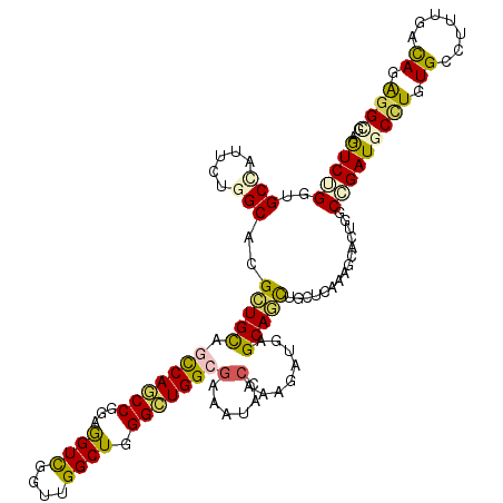 secondary structure