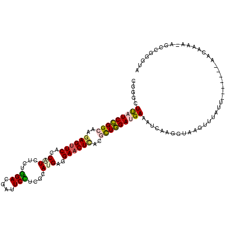 secondary structure