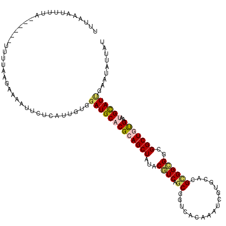 secondary structure