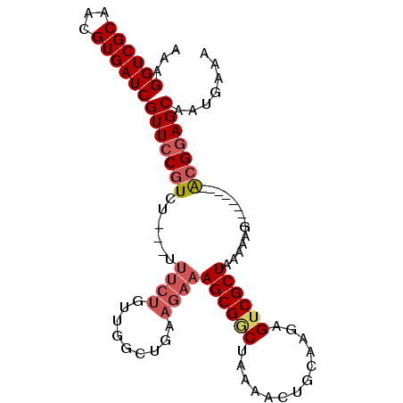 secondary structure