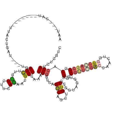 secondary structure