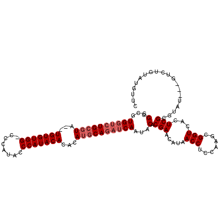 secondary structure