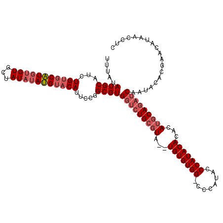secondary structure