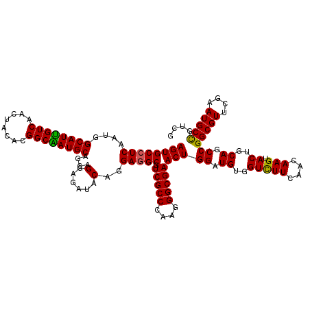 secondary structure