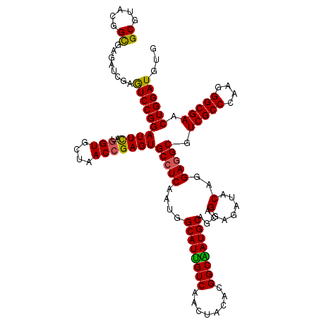 secondary structure