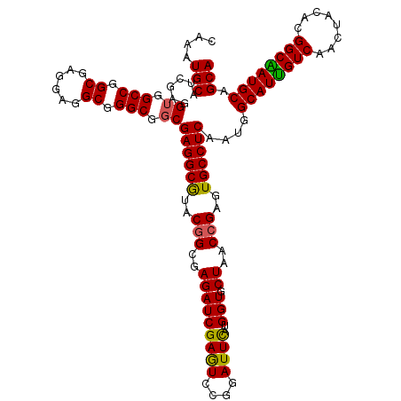 secondary structure