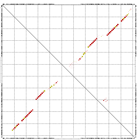 dotplot