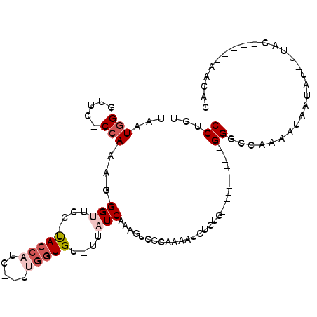 secondary structure