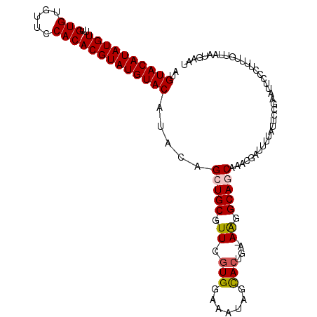 secondary structure